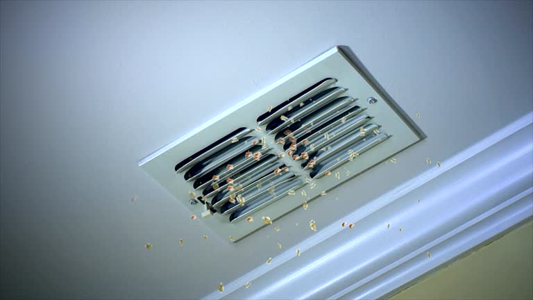 Best Affordable HVAC Duct Cleaning  in Ocean Acres, NJ