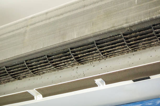 Best Air Duct Cleaning Near Me  in Ocean Acres, NJ